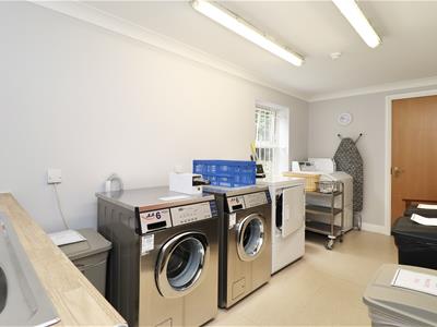 Picture 12